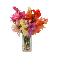 Bouquet of gladiolus flowers isolated on transparent background