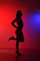 Fototapeta na wymiar silhueta de bela mulher dançarina sensual sexy com salto alto em pose 