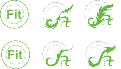 FIT symbol on the plate