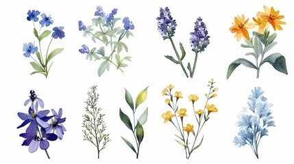 AI generated illustration of a vibrant watercolor painting of various wildflowers and plants