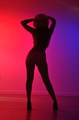silhueta de bela mulher sexy dançarina sensual fetiche dança a noite 