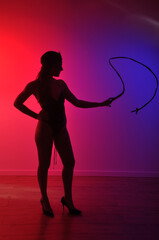 silhueta de bela mulher sexy dançarina sensual com chicote  fetiche dança a noite 