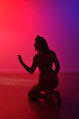 silhueta de bela mulher sexy dançarina sensual fetiche dança a noite 