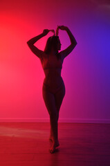 silhueta de bela mulher sexy dançarina sensual fetiche dança a noite 