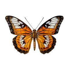 Naklejka premium butterfly insect bug transparent background
