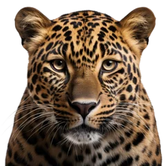 Fotobehang Luipaard leopard face shot , isolated on transparent background cutout , generative ai