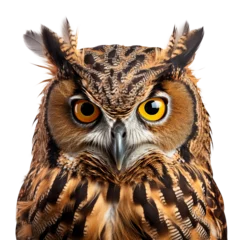 Zelfklevend Fotobehang owl face shot isolated on transparent background © Creative Canvas