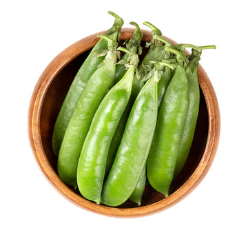 Fresh pea pods, in a wooden bowl. Bunch of pods, containing green peas, the fruits and seeds of Pisum sativum, a flowering annual plant. Used fresh, frozen, dried or canned, as vegetable. Food photo.