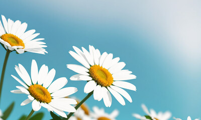 Beautiful daisies on a blue background, copy space. Generative AI.
