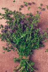 bouquet of herb ombalo, marsh mint, bunch of mint, top view, on a brown background, spice, Georgian cuisine,