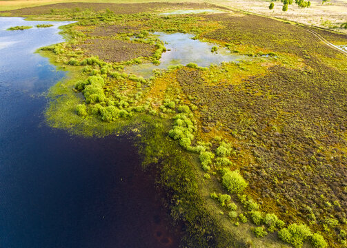 Aerial view of the edge of grassland and lake with bushes, Scharreveld, Westerbork, Drenthe, Netherlands.