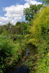 Fototapeta na wymiar Oeuf river in Estouy village. Centre-Val-De-Loire region