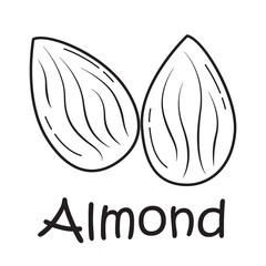 Badge almond with the inscription. Vector image, eps