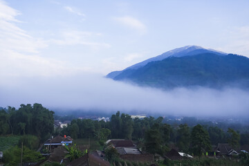 Beautiful view of Mount Merbabu mountainside in the morning with vegetable garden and village...