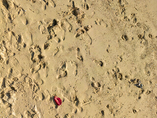 Aerial view of footsteps in the sand on tropical beach.