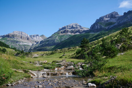 Creek flowing through grassy shore