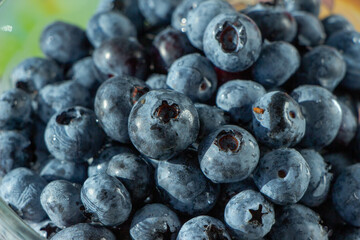 blueberries in a bowl. Summer fruits. 
