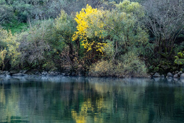 Mountain and river with nature reflections 