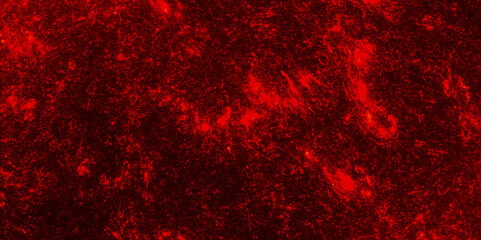 red drops of paint on a black background