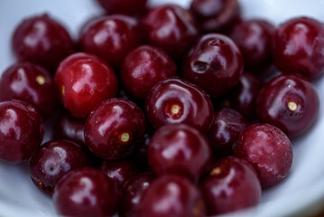 A white bowl of ripe sweet red cherries. Fresh sour cherries harvest.