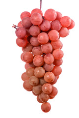 bunch of ripe orange grapes. on a white background