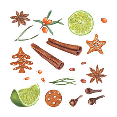 Watercolor set of cinnamons, star anise, lime slices, sea buckthorn berry, gingerbread cookie, spruce, cloves isolated on white background. Illustration for Christmas and New Year design, spice shops
