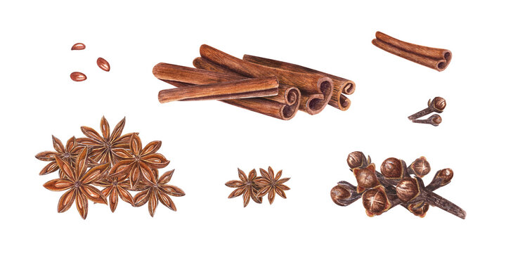 Watercolor clip art of star anise, dried cloves, cinnamons sticks isolated on white background. Botanical illustration for Christmas, New Year cards, book design, patterns, banners, spice shops