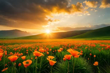 Zelfklevend Fotobehang A vibrant orange poppy standing tall amidst a field of green grass © Pik_Lover