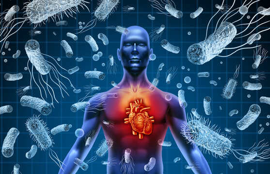 Heart And Bacteria or Bacterial Endocarditis and septicemia or sepsis as blood poisoning due to germs with 3D illustration elements.