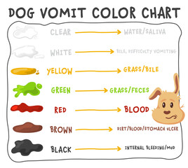 Dog vomit color guide. Editable vector illustration