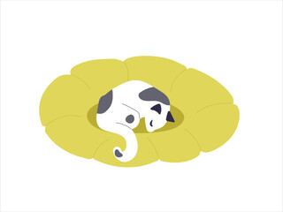 Cat sleeping in cat bed. Pet kitty is resting. Comfortable home animals furniture for felines. Vector illustration isolated on white background. Hand draw animal, cartoon character. Pet curled up.