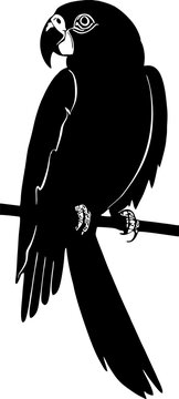 recommend clip art: black graphic drawing silhouette of a parrot, design, logo, monochrome graphics
