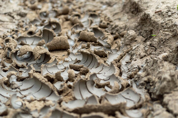 Very dry ground after rain