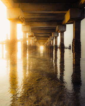 Under Pier Vector