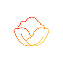 cabbage vegetable icon