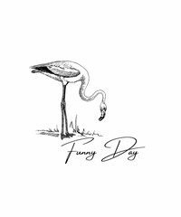 The text at the bottom of the image says "Funny Day." This suggests that the image is meant to be humorous, and that the flamingo's pose is meant to be funny. The flamingo's one-legged stance is certa