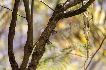 Enchanting scenery from a walk through the park.