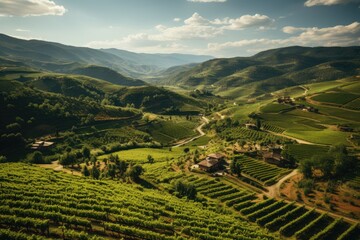 Fototapeta na wymiar A Tuscan vineyard from above during harvest season. Generative AI