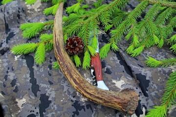 Equipment for outdoor travel on camouflage fabric with branches of coniferous trees