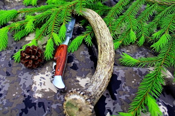 Equipment for outdoor travel on camouflage fabric with branches of coniferous trees