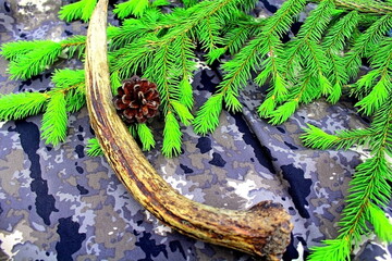 Equipment for outdoor travel on camouflage fabric with branches of coniferous trees