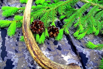 christmas background with branches and cones