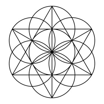 Seed of Life, seven overlapping circles, form the basic shape to create a hexagram (sexagram), an ancient geometric figure and Sacred Geometry, used as Star of David, or in the Heart Chakra symbol.