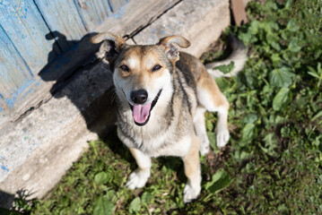 Fototapete bei efototapeten.de bestellen   