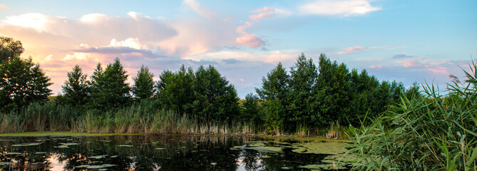 pine forest and small overgrown pond sunset landscape. long banner