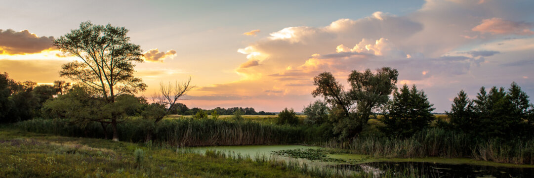 pine forest and small overgrown pond sunset landscape. long banner