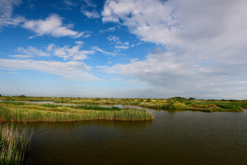 Feuchtgebiet im Nationalpark Axios-Delta, Griechenland // Wetland in Axios Delta National park ,...