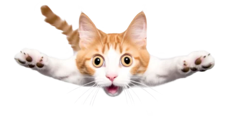 Fotobehang Portrait of a funny surprised cat, closeup. Cute cat in jump, isolated on transparent background, png  © Viks_jin