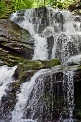Obraz premium Waterfall. Water flows over the stones. Carpathians. waterfall whisper
