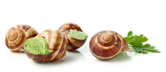 escargot snail filled with garlic and parsley butter